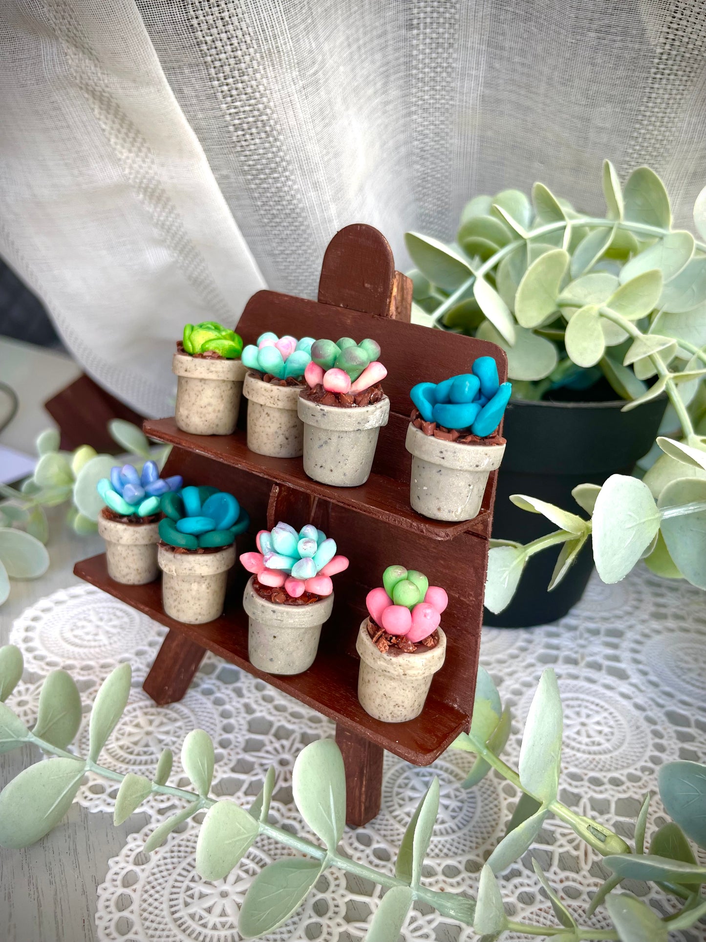 Mini Succulents - email to order these