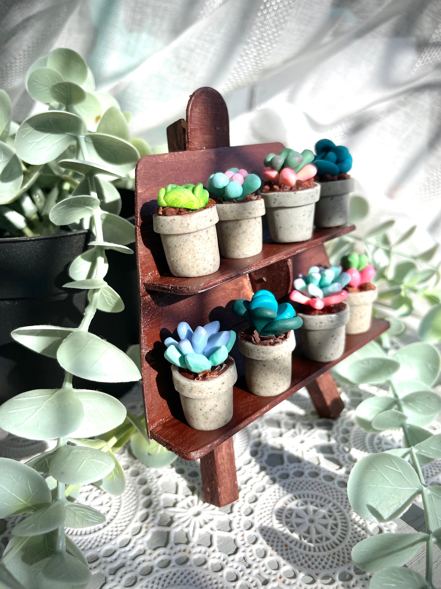 Mini Succulents - email to order these