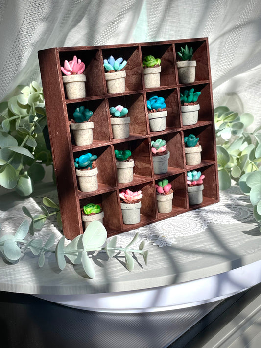 Mini Succulents - email to order these