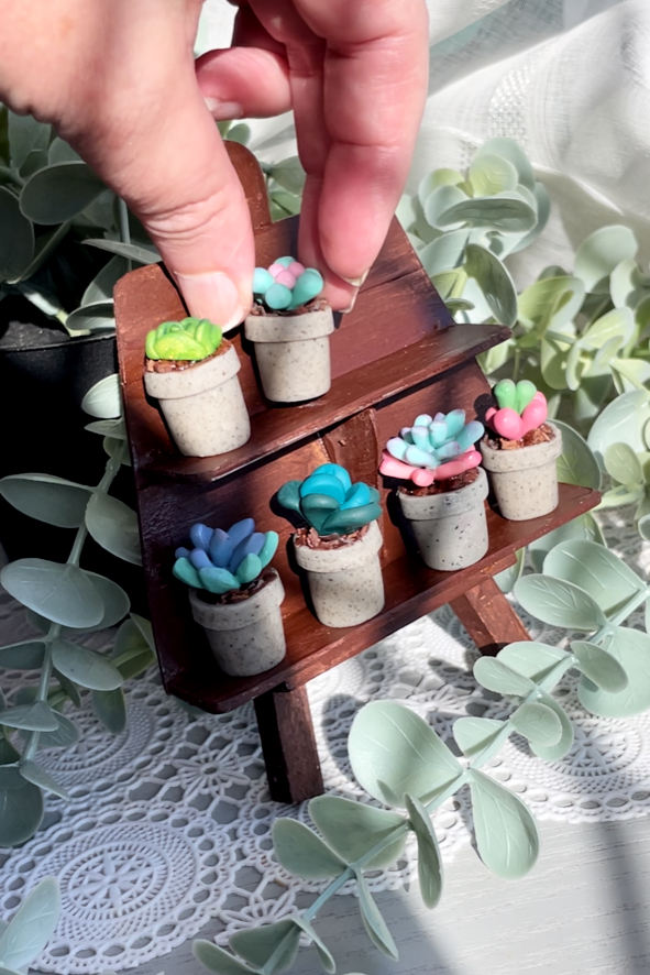 Mini Succulents - email to order these