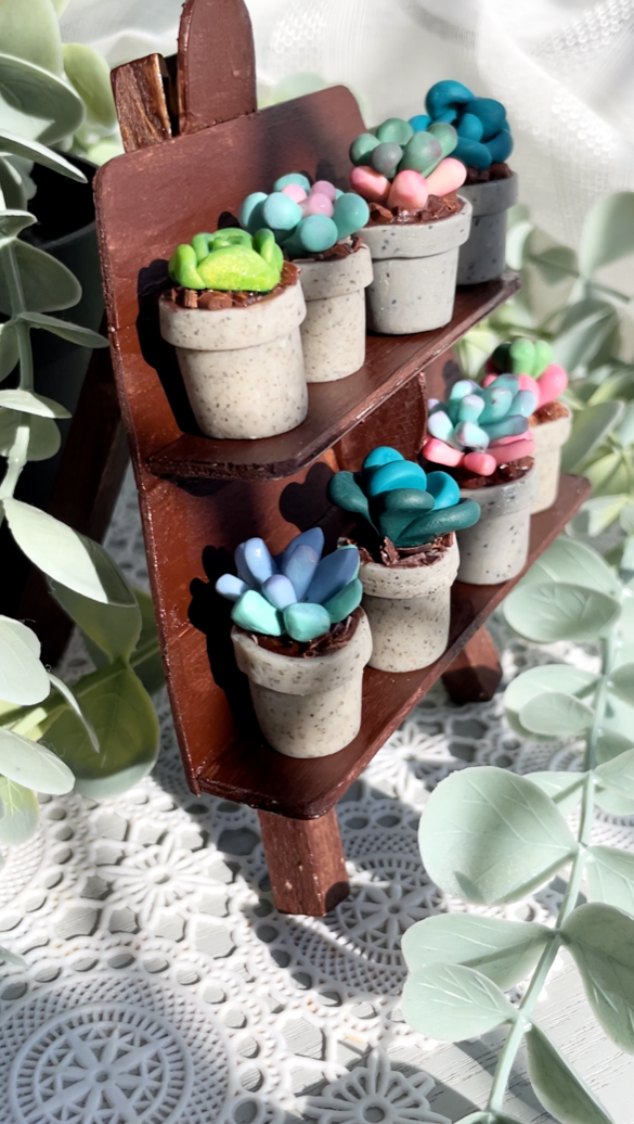 Mini Succulents - email to order these