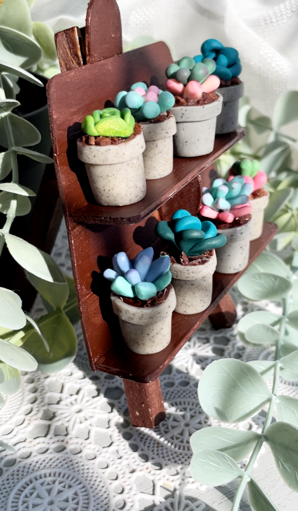 Mini Succulents - email to order these